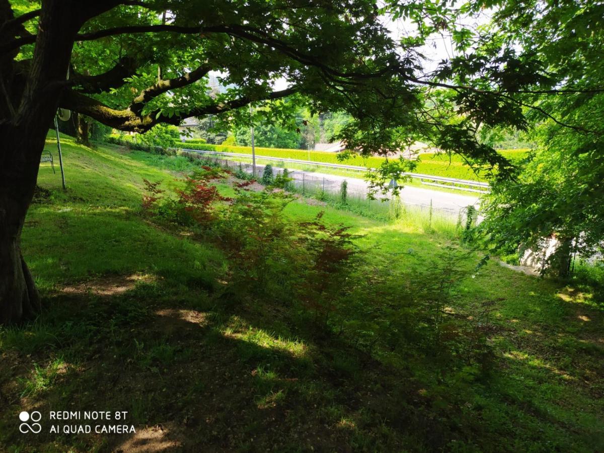 "La Selvetta" Bed And Breakfast Buguggiate ภายนอก รูปภาพ
